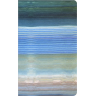 Набор из 2 тетрадей MOLESKINE CAHIER LIMITED EDITION 